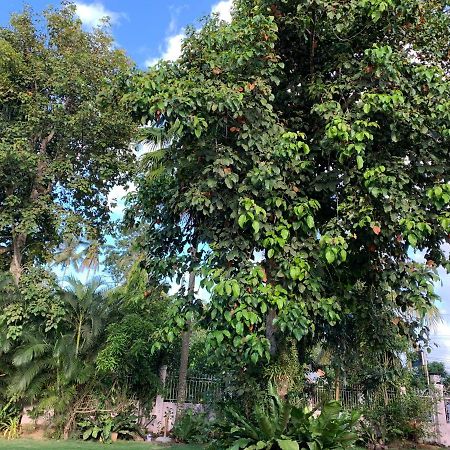 Bungalow  Dipolog Zewnętrze zdjęcie