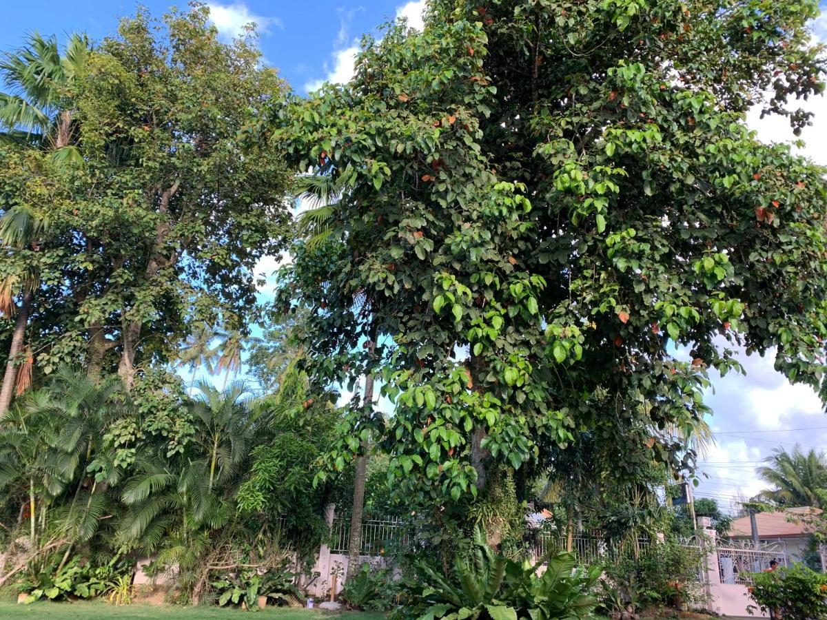 Bungalow  Dipolog Zewnętrze zdjęcie