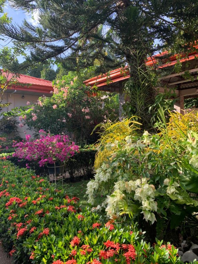 Bungalow  Dipolog Zewnętrze zdjęcie