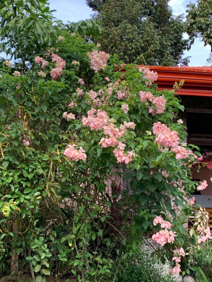Bungalow  Dipolog Zewnętrze zdjęcie